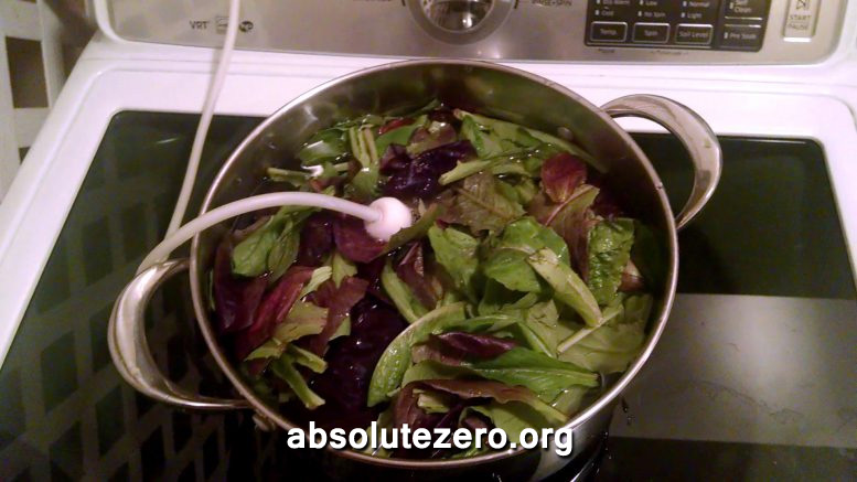 remove e coli from vegetables with ozone