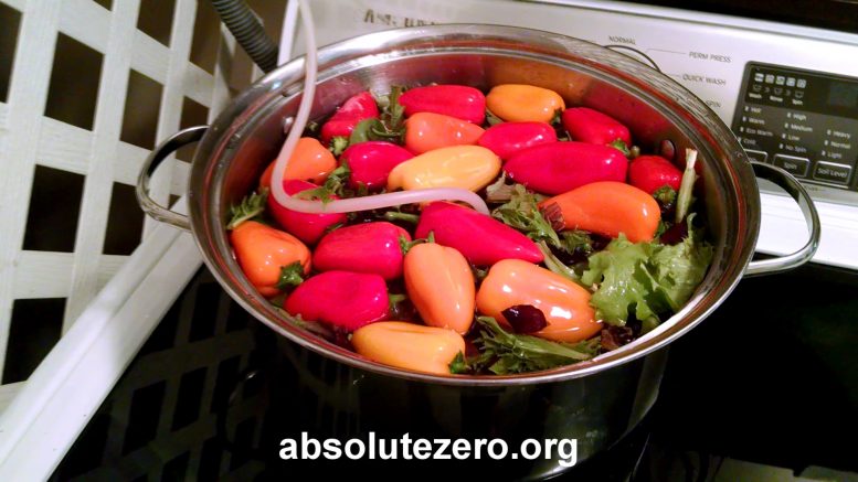 ozone purification of vegetables